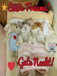 Jetzt bin ich wach am frühen morgen und hab schon wieder lauter sorgen! Gute Nacht Bilder Und Spruche Fur Whatsapp For Android Apk Download