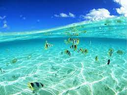  Pemandangan Bawah Laut Yang Indah Pemandangan Luar Ruangan Lautan