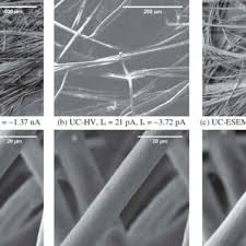 See what wan bahrum (wbahrum) has discovered on pinterest, the world's biggest collection of ideas. Pdf An Investigation Of Charging Effects By Different Factors On Carbon And Natural Bamboo Fibers In High Resolution Scanning Electron Microscopic Imaging