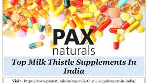 Milk thistle, one of natures best liver support supplements here is what you need to know before picking the best milk thistle supplement brands. Top Milk Thistle Supplements Best Mary Thistle Tablet Brands