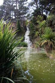San Francisco Botanical Garden Botanical Gardens Outdoor Botanical