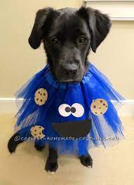 Deliciously Adorable Cookie Monster Costumes For Dogs Cute Dog Costumes Pet Halloween Costumes Diy Dog Costumes