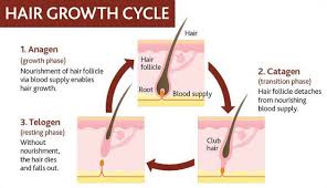 How To Make Facial Hair Grow Thicker And Faster Naturally Grow Natural Hair Faster How To Grow Natural Hair Scalp Hair Growth