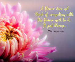 Deep quotes about flowers and growth. Quotes About Have The Time Of Your Life With Images And Flowers Quotes About Life Life Quotes Pictures Dogtrainingobedienceschool Com
