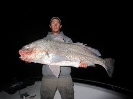 species of fish finao sportfishing