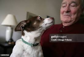 23 Thomas Burnett Jr Photos & High Res Pictures