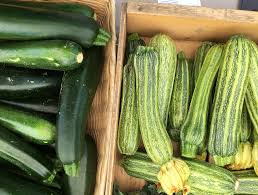 Water zucchini plants in the morning so leaves have time to dry before night. How To Ward Off Powdery Mildew In Summer Crops
