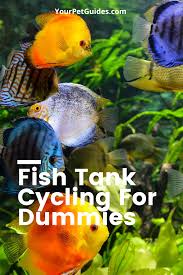 Aquarium Cycling Guide For Dummies In 2020 Fish Tank Pet Fish Animal Lover