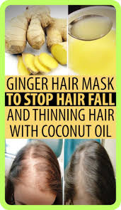 The follicles cycle asynchronously, meaning they each do their own thing in their own time, and this results in about 100 hairs per day entering the falling phase. Ginger Hair Mask To Stop Hair Fall And Thinning Hair Ginger Hair Hair Mask Hairstyles For Thin Hair