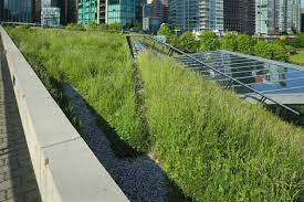 25 Amazing Buildings With Green Roof Designs Pictures Green Roof Green Roof Design Sustainable Architecture