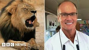 Cecil the lion: No charges for Walter Palmer, says Zimbabwe