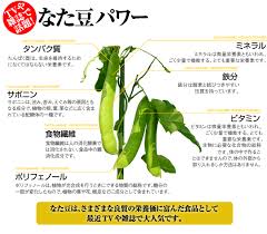 楽天市場 薩摩なた豆歯磨き 6本セット マイラボ