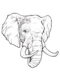 At a small distance to the right, draw a circle of smaller diameter for the head. How To Draw An Elephant Head Step By Step Easy For Elephant Drawing Elephant Tattoos Elephant Stickers