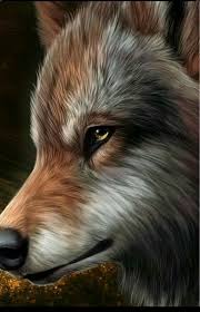 Pin By Tammy Mom Of Three H On Wolves Animal Spirit Guides Fantasy Wolf Beautiful Wolves