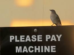 Generally, checking accounts that you have added to paypal come as free deposit) may be limited to a deposit of a. Paypal Weltsparen Ein Wakeup Moment Fur Banken