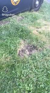 Reckless Driving at NY State Fair Caught