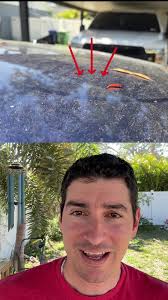 🤧 Llegó el Polen 😷🥴 Comenzamos a ver niveles elevados de polen en  Florida y Texas agravando la alergia en muchas personas desde ahora y por  varias semanas que dura la temporada de polen. #polen ...