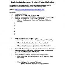 Monohybrid cross worksheet amoeba sisters answers. Biology Cross Worksheet 1 Monohybrid Crosses Answers Gsagency Co