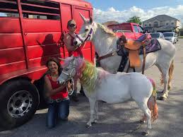 Children's party pony and petting zoo rentals for a kids party are always a hit! Pony Rental Service Horse Power Events Orlando Fl