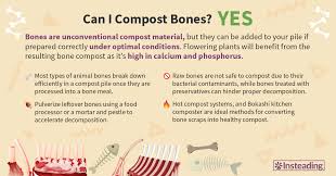 Can I Compost Bones? A Comprehensive Guide • Insteading