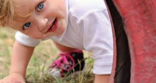 Mittwoch, den 25. November 2015 Nummer 48 Ortsverwaltung Waltershofen  Brennholz aus dem Mooswald für Waltershofener Selbstwerb