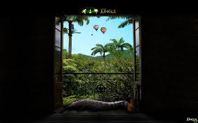 Jiggle the window a little, and it will move and be able to slide or come off. Open Window With Metal Fence And Trees On Outside With Flying Hot Air Balloons During Day Time Hd Wallpaper Wallpaper Flare