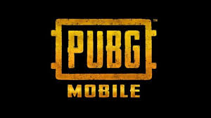 Pubg Mobile Banned In India In 2020 Snow Map Map Mobile