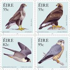 Irish Birds Of Prey Images Birds Of Prey On Irish Stamps Stamp Bird Stamp Birds Of Prey