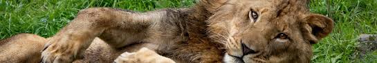 Erin's pet care santa rosa. Oakland Zoo Linkedin