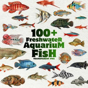Freshwater Aquarium Art - Etsy