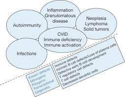 Common Variable Immune Deficiency And Associated Complications Sciencedirect