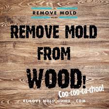 Even if it does not kill any type of mold, it is a cheap, natural solution that you can apply on any surface and material. Remove Mold From Wood 2014 Guide To Mold Removal