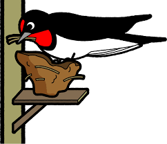 巣作り中の燕のイラスト｜ツバメ｜鳥｜素材のプチッチ