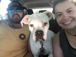 Stolen from rock musician Izzy Miller, , but Izzy's post didn't allow  sharing.