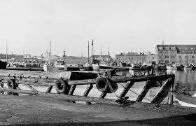 Image result for Bleu Fjord 1981 Fleet