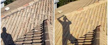 If you've got problems with your roof, then you have problems with your entire house. 5 Things You Need To Know About Residential Roof Cleaning Proclean Power Washing Sarasota
