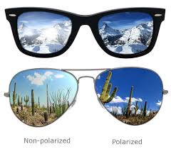 Polarized sunglasses have long been popular among fishermen and boatmen, as they lessen the glare caused by reflections from water. Why Are Polarized Sunglasses Better Free Delivery Off66 Welcome To Buy