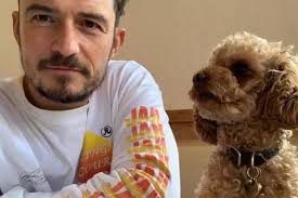 I have heard of you and i am grateful to you. Orlando Bloom S Beloved Dog Goes Missing Actor Feels Broken Wide Open The Star