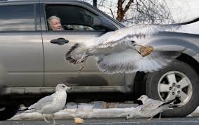 Week In Photos Jan. 13-20, 2023