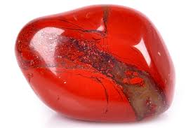 Image result for jasper
