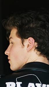 Takk for at du bruker dette programmet. Shawn With Earrings Camila Cabello Camilo Cabello