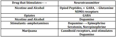 addictions and missing neurotransmitters how are they related