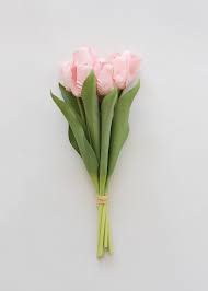 We did not find results for: Fake Spring Flowers At Afloral Com Real Touch Tulip Bundle In Pink