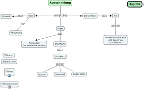 Niere Durst V0 Concept Map