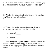 We did not find results for: 11 Draw And Label A Representative Of A Starfish Chegg Com