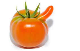 Медицинский центр "Доктор Харьков" - doctor.kharkov.ua, Золотарев Александр  - "Пикантная" тема - "Микропенис". Каждый третий мужчина не доволен  размерами своего члена и около 50% недовольных размерами члена мужчин  готовы даже к оперативной