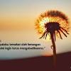 Cinta yang kini terus berucap dengan kata doa. 1
