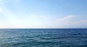Take this quiz and learn more about ocean life. What Is The Sargasso Sea Trivia Questions Quizzclub