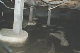 Mold can be a very serious health issue, particularly for people with. Sumas Wa Home Inspector King Of The House Crawl Space Water