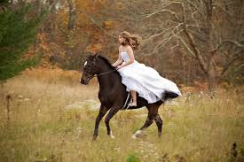 Horse Dress Bridle Photos Shoot Wedding Pets Horse Wedding Horses